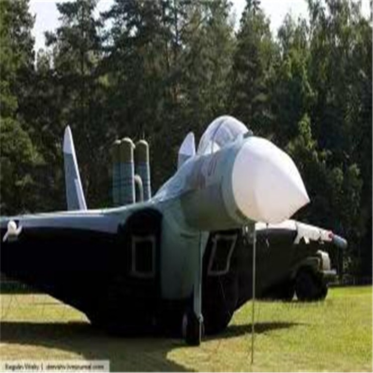 琼海充气模型飞机制造商家